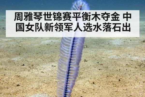 周雅琴世锦赛平衡木夺金 中国女队新领军人选水落石出