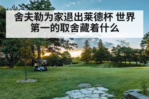 舍夫勒为家退出莱德杯 世界第一的取舍藏着什么